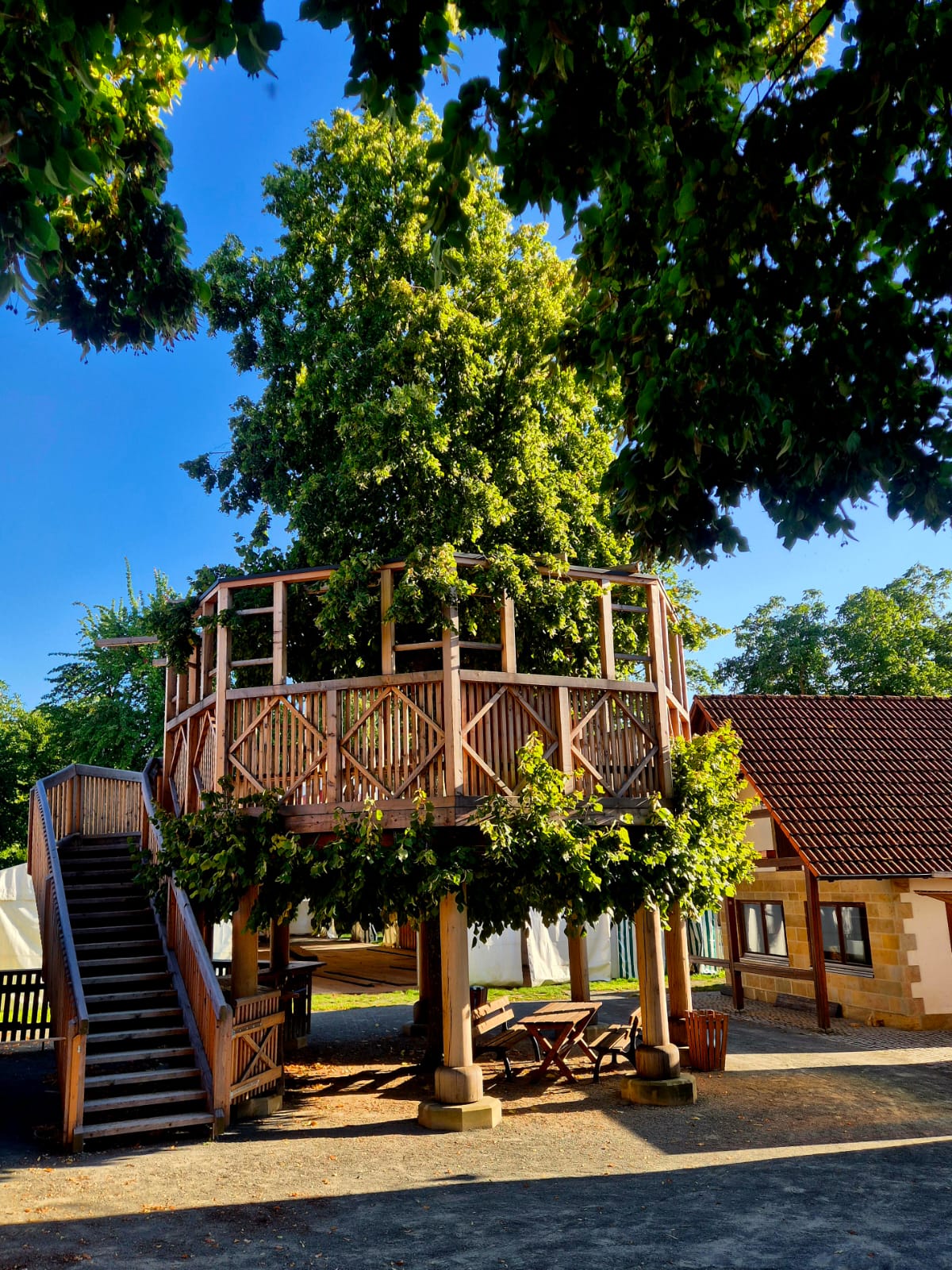 Tanzlinde Limmersdorf